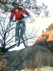 ����������`�A�J���o�`�b�N�I