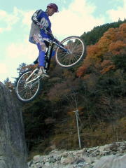 �o�b�N�̍g�t�������ėǂ��摜�ɂȂ�܂�����