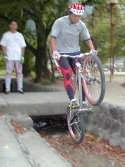 �_�j�G���~������Ă���p�j����