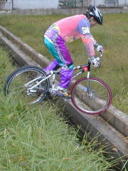 �����I�@�}�E�X�|�C���^�����ĂĂ��܂��܂����ˁH