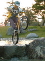 �[�����o�b�N�ɐl�H�r�Ń_�j�G���~��