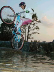 �h���}�C�̉��c�t��