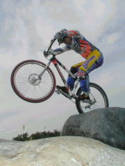 �J�b�R�ǂ��摜���t�o���Ă����܂�