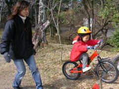 ��Q�Z�N�V����