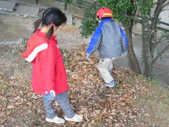 �������̉����q�炵���ł�