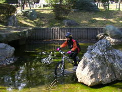 �������ΐF�̒r�c