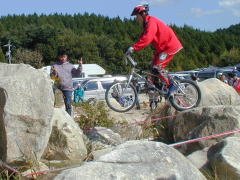 �P�k�`�o�ڂ͘A���łT�_��H����Ă��܂����c