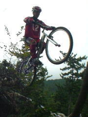 ���n��ɃR�[�X�e�[�v����͂ݏo���Ⴂ�܂����c