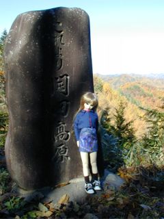 ��������J�c�����˂��I