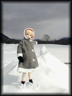 ���̖؂��ĂȂ��ɁH