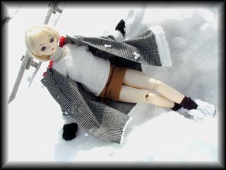 ������Ƌx�e�����