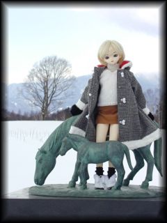 ���n�������