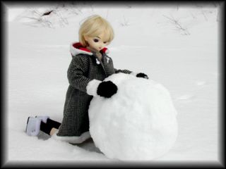 ���������̂���̂��`��