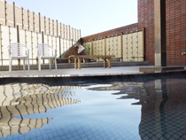 �I�V���C�i�a���j