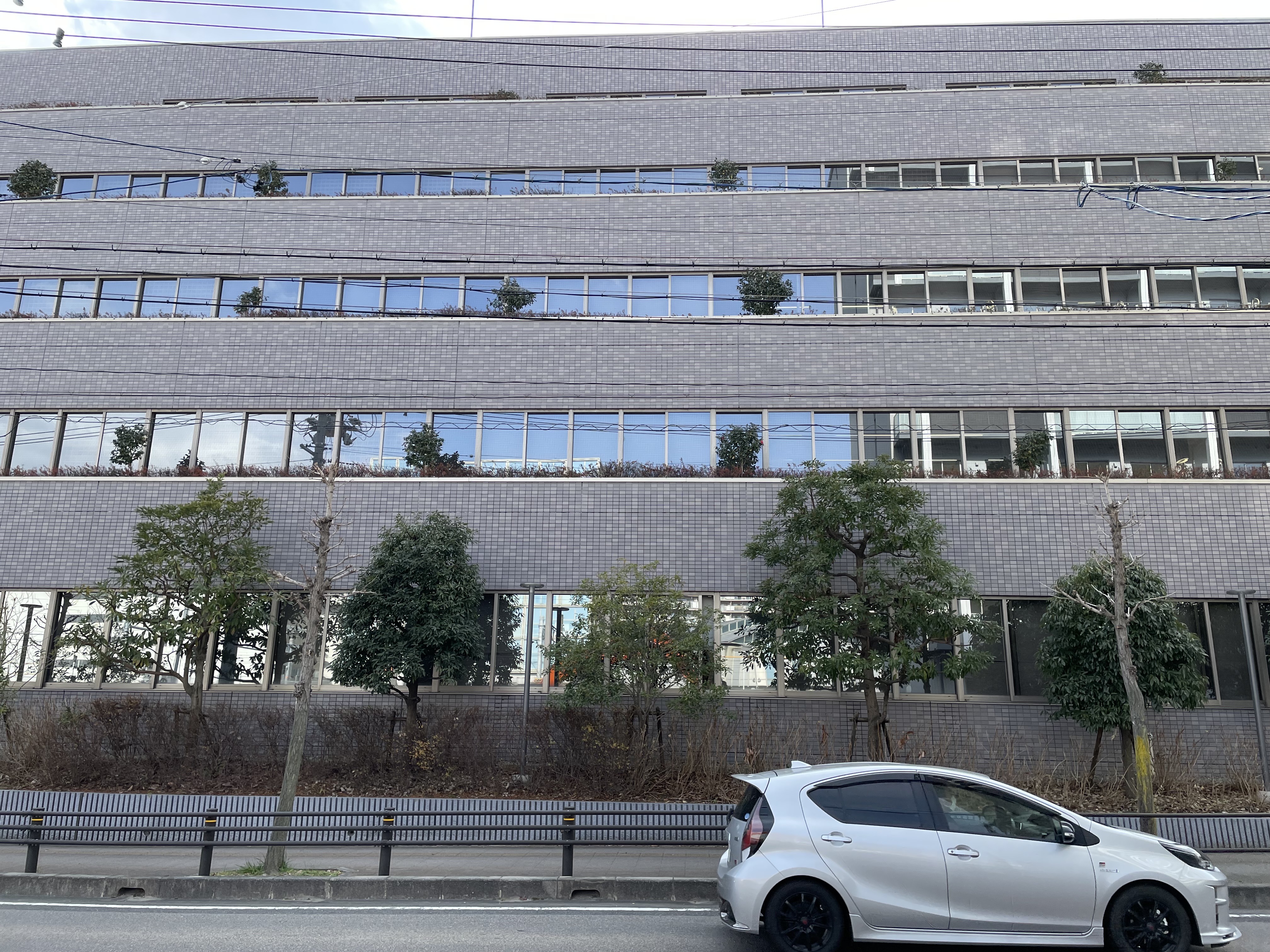 刈谷法務局外観道路沿い