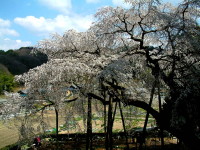 奥山田