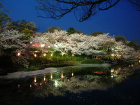 亀城公園