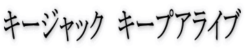 �L�[�W���b�N �L�[�v�A���C�u