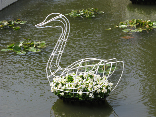 白鳥のトピアリー