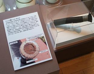 極太リッツ線