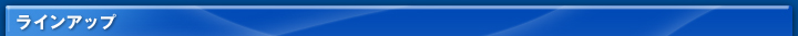 VAIO�^Windows XP