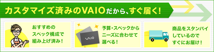 �J�X�^�}�C�Y�ς�VAIO