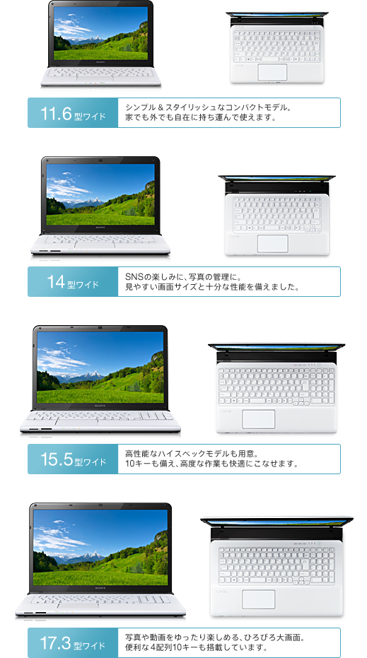 VAIO E�V���[�Y