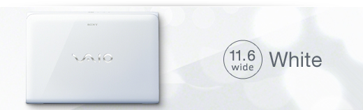 VAIO E�V���[�Y