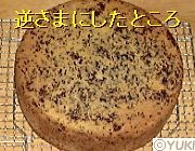 �摜