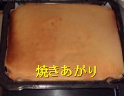 �摜