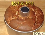 �摜