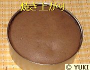 �摜