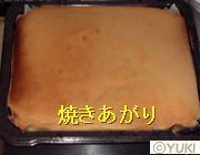 �摜