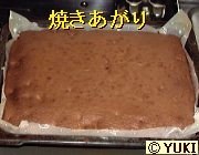 �摜