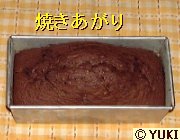 �摜