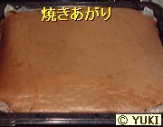 �摜