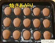 �摜