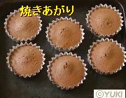 �摜