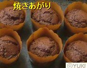 �摜