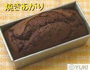 �摜