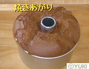 �摜