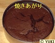�摜