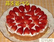 �摜