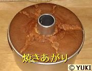 �摜