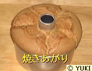 �摜
