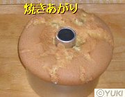 �摜