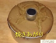 �摜