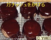 �摜