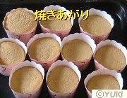 �摜