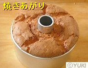 �摜